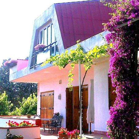 Bed And Breakfast Aloisio San Gregorio di Catania Eksteriør billede