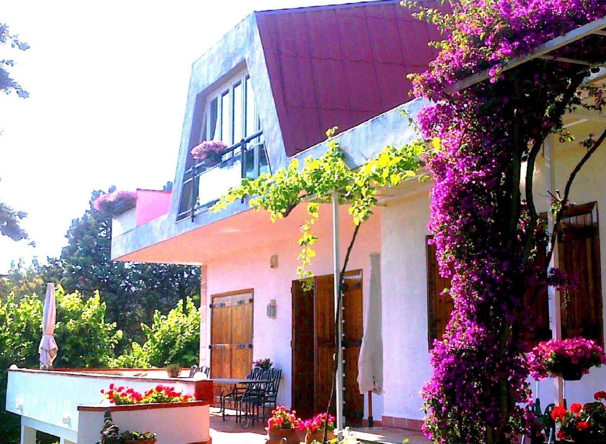 Bed And Breakfast Aloisio San Gregorio di Catania Eksteriør billede